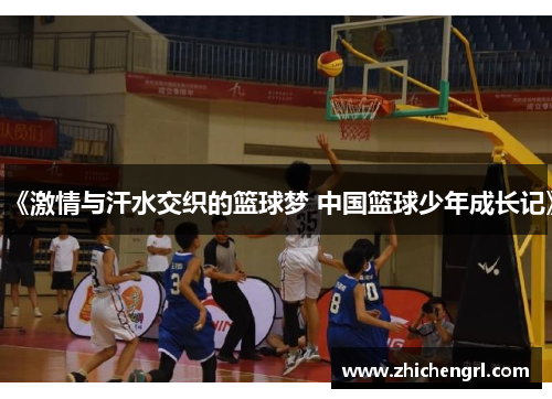 《激情与汗水交织的篮球梦 中国篮球少年成长记》 《激情与汗水交织的篮球梦 中国篮球少年成长记》